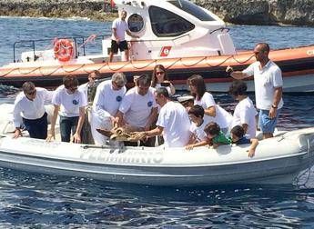 Torna in mare la tartaruga Nemo, liberata nella riserva marina di Plemmiro Torna in mare la tartaruga Nemo, liberata nella riserva marina di Plemmiro